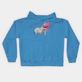 elephant car wash Kids Hoodie